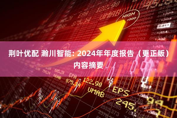荆叶优配 瀚川智能: 2024年年度报告（更正版）内容摘要