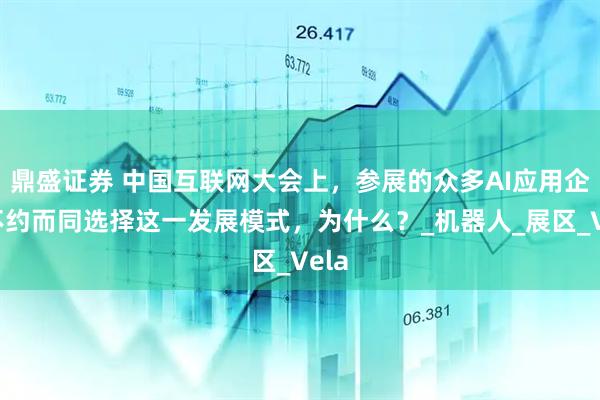 鼎盛证券 中国互联网大会上，参展的众多AI应用企业不约而同选择这一发展模式，为什么？_机器人_展区_Vela