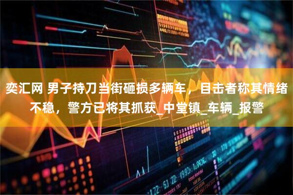 奕汇网 男子持刀当街砸损多辆车，目击者称其情绪不稳，警方已将其抓获_中堂镇_车辆_报警