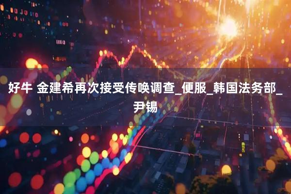 好牛 金建希再次接受传唤调查_便服_韩国法务部_尹锡