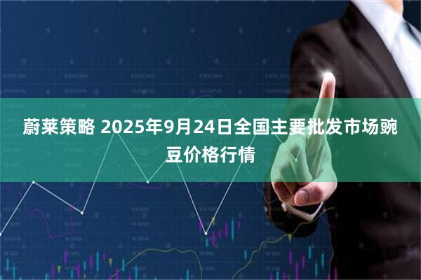蔚莱策略 2025年9月24日全国主要批发市场豌豆价格行情