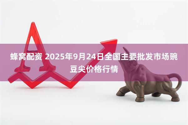 蜂窝配资 2025年9月24日全国主要批发市场豌豆尖价格行情