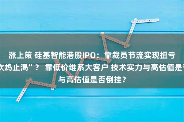 涨上策 硅基智能港股IPO：靠裁员节流实现扭亏是否“饮鸩止渴”？ 靠低价维系大客户 技术实力与高估值是否倒挂？