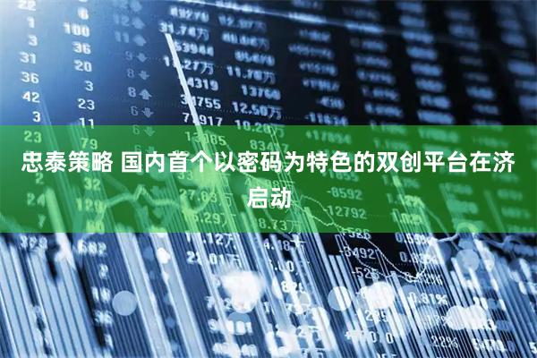 忠泰策略 国内首个以密码为特色的双创平台在济启动