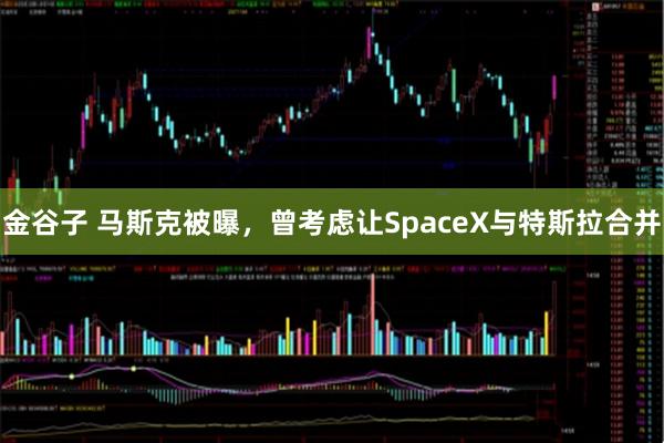 金谷子 马斯克被曝，曾考虑让SpaceX与特斯拉合并